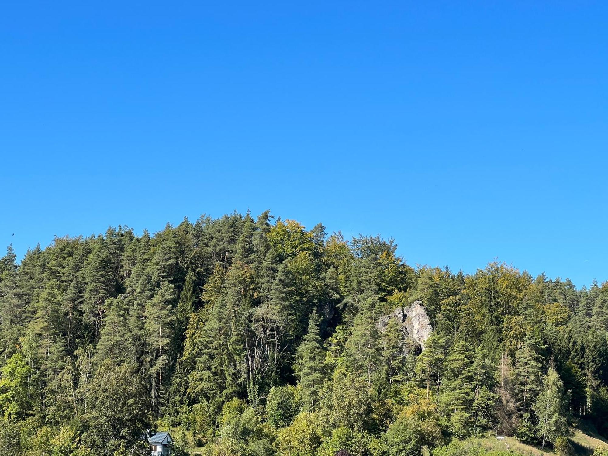 Appartement Pfaffensteinblick Hirschbach (Bavaria)